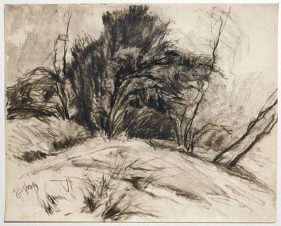 Baumgruppe Laubbäume auf Anhöhe Landschaft orig. Zeichnung laviert Paul Groß - Bild 1 von 4