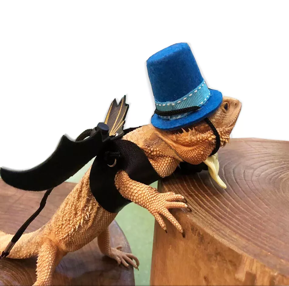 Bearded Dragon Bowtie Hat Lizard Leash with Harness Reptiles Small Pets  Animals