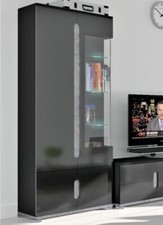Display Cabinet Black High Gloss And Grey 1 Glass Door Display Cabinet LED Light