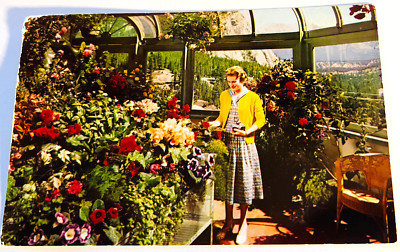 1960s Postcard CONSERVATORY BANFF SPRINGS Hotel Banff Natl Park Alberta ...