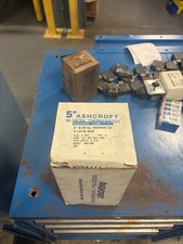 NEW Ashcroft 5" Bi-Metal Thermometer 50 EL60 R 060 200/700F