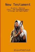 The New Testament Apostle Arne Taschenbuch Kartoniert / Broschiert Englisch 2015