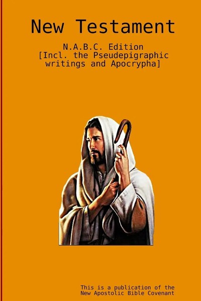 The New Testament Apostle Arne Taschenbuch Kartoniert / Broschiert Englisch 2015-image