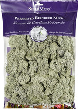  25140 Reindeer Moss Preserved, Moss Green, 8Oz 200 Cubic Inch 