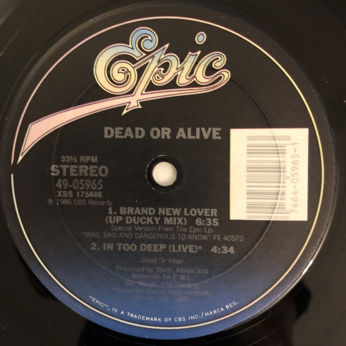 DEAD OR ALIVE - BRAND NEW LOVER 12 DEAD OR ALIVE - BRAND NEW LOVER 12