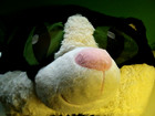Halloween Cat Head-By Dan Dee-Cute Cat-Mascot or Greeter Costume Head — photo 2