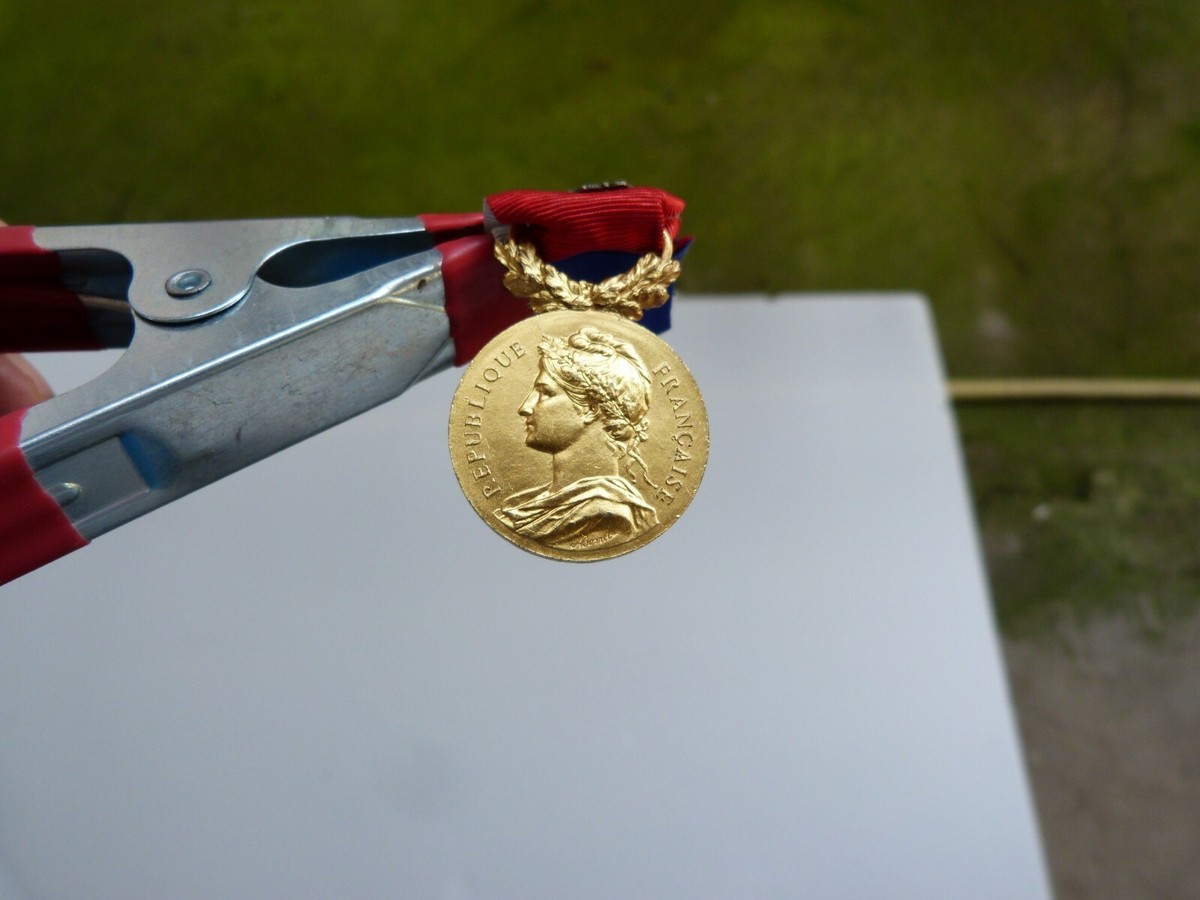 Médaille Ministère Affaires Sociales 1974 argent signée Borrel - Collection