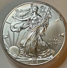 2018 P  American Eagle Silver Ungraded in Plastic Holder, Beautiful B3-35