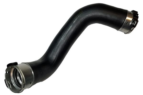 Bugiad Ladeluftschlauch 81788 Passend FüR Nissan-image