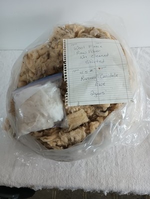 4.5 lbs Corridale/Romney Sheep Wool White fiber fleece spinning weaving