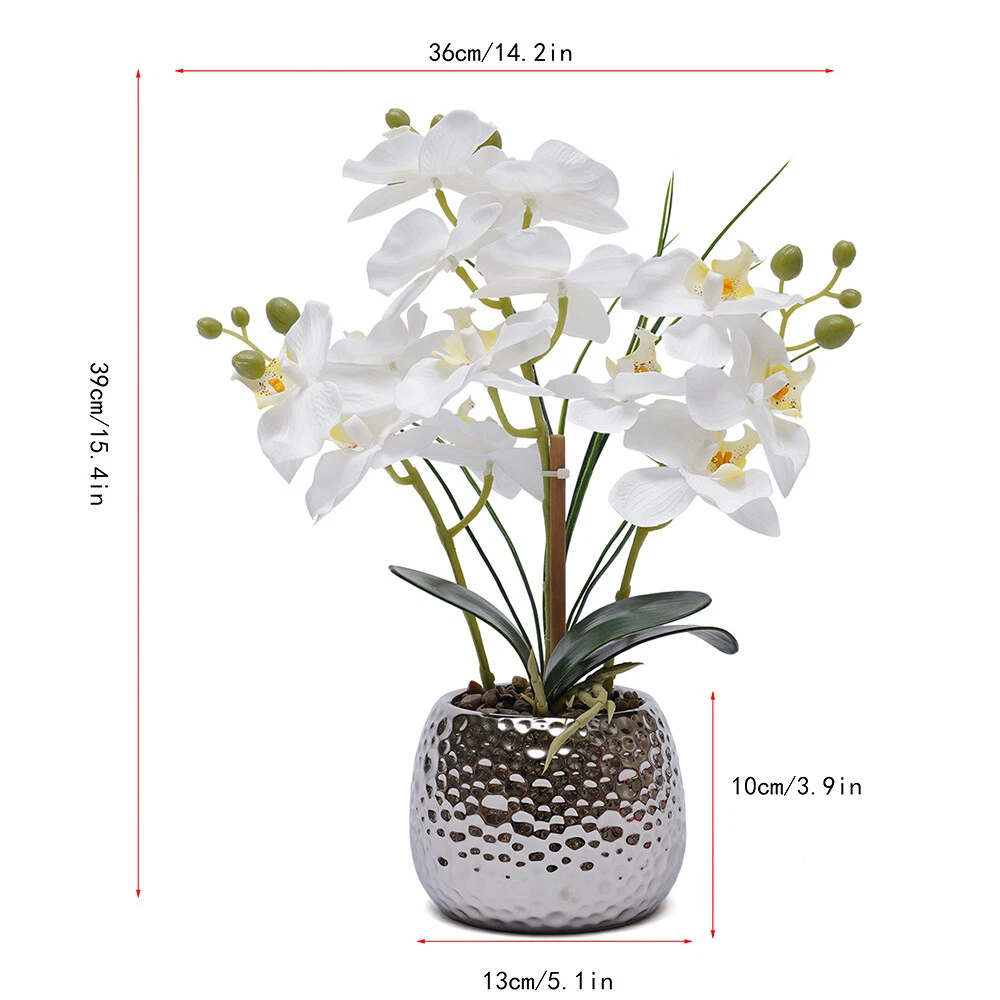 Knstliche Orchideen-Schalen online kaufen | eBay.de