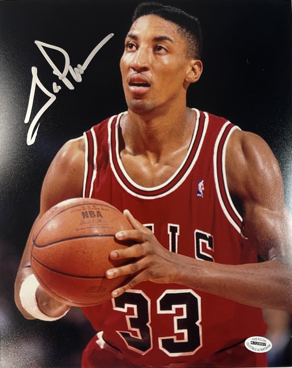 Scottie Pippen 03-04 筆記体 プロカットジャージ 直筆サイン Scotty Maurice Pippen Rare Signed Autographed 10x8 Chicago Bulls