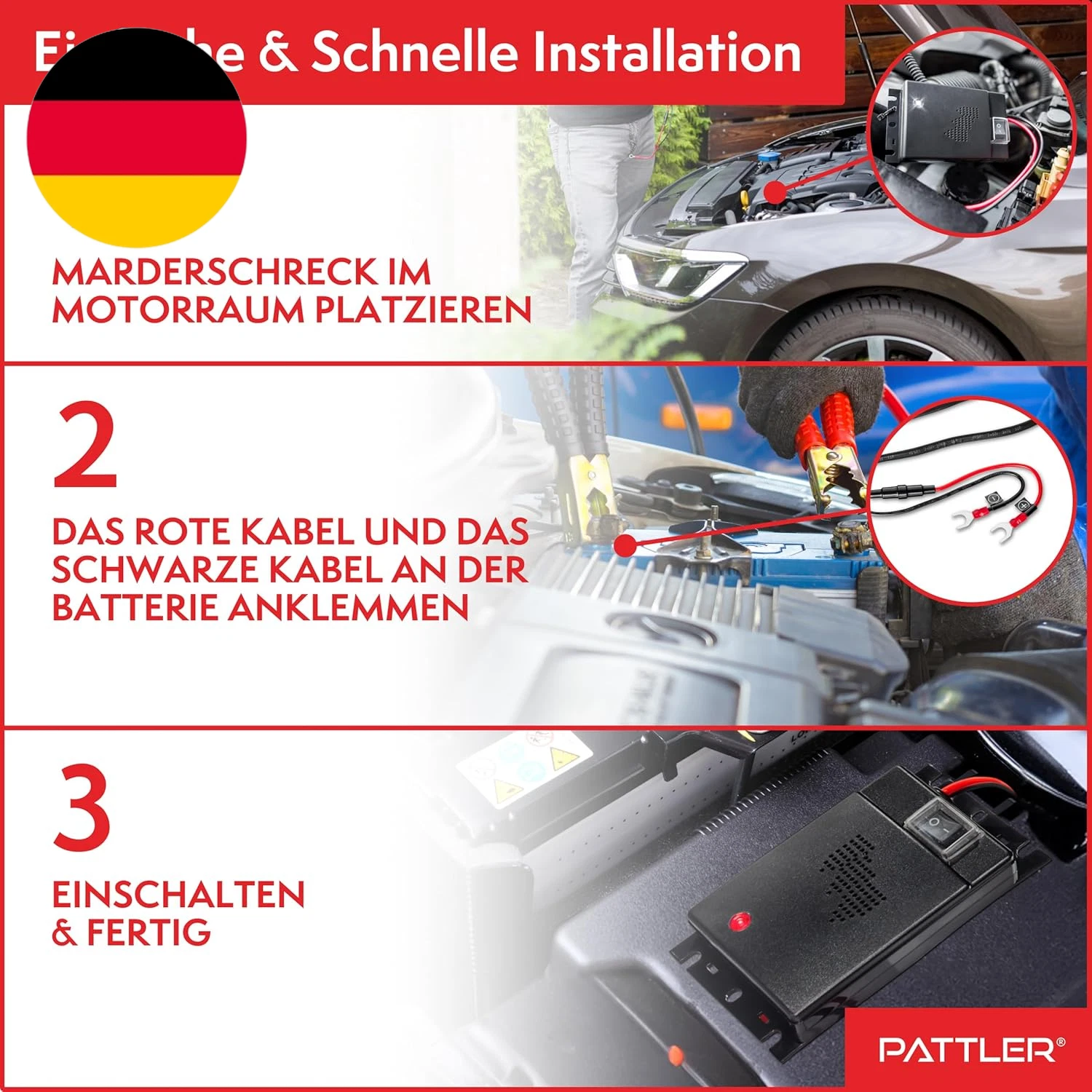 Bild 5 von 12