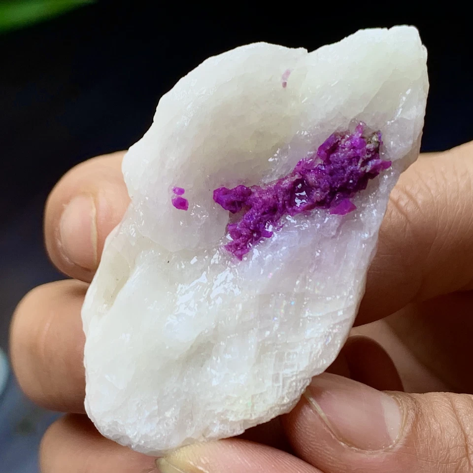 49G Natürlicher Hochwertiger Amethyst Achat Quarz Cluster Scheibe Kristall Mineral