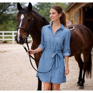 velvet heart los angeles denim dress Velvet Heart Denim Dress