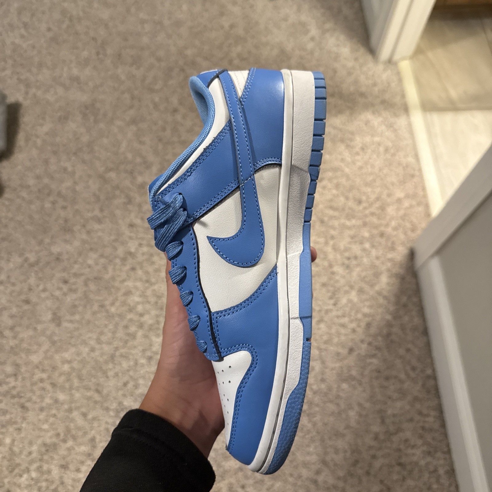 UNC Dunks - image 5