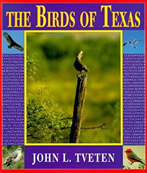 The Birds of Texas Paperback John L. TvetenFree US Delivery | ISBN:0940672634