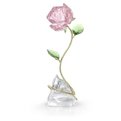 Swarovski Florere Rose Decoration Pink Designer Adi Stocker 5666973