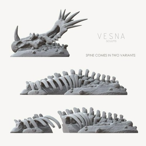 Ancient Skeletal Remains Wasteland Desert Dinosaur Scatter Terrain Scenery Lands - Picture 4 of 5