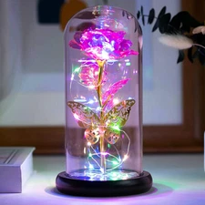 Eternal Rose Flower Forever In Glass Dome LED Light Christmas Gifts Mother's Day