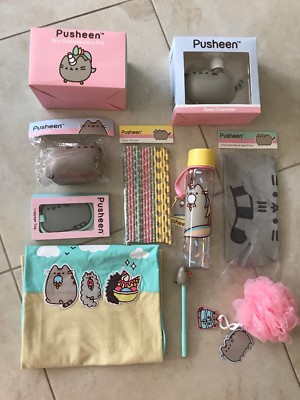 13+ Pusheen Box Fall 2023