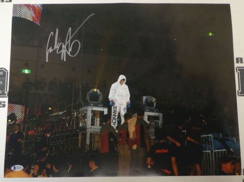 Foto Carlos Newton firmata 16x20 BAS COA UFC Pride FC 2003 MMA foto autografo - Foto 1 di 5