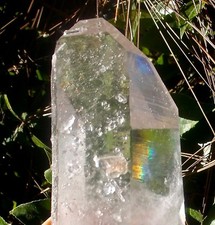 Arkansas Quartz Huge Natural Perfect Point 1/2 Water Clear Specimen 720 Grams