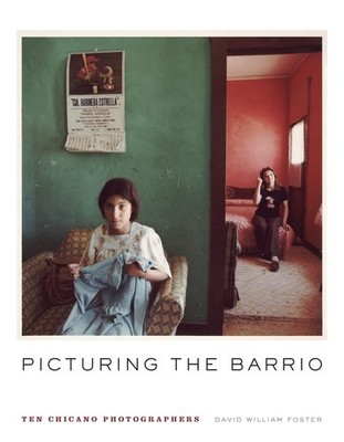 Picturing the Barrio: Ten Chicano Photographers by David William Foster (English