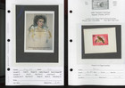 Worldwide Stamp Collection  sheets  in  dealer cards  6 items   (mb33 — photo 2