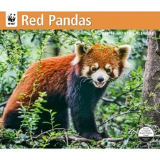 Carousel Calendars,  Red Pandas WWF 2026 Wall Calendar, 12.01'' X 14.09'', 16-Mo
