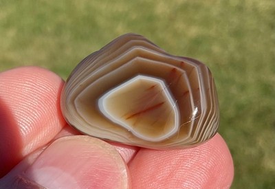 0.3 oz Lake Superior Agate Polished TOP SHELF High Contrast Root Beer Float LSA