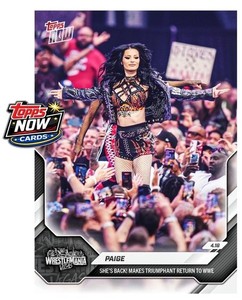Paige WWE | eBay