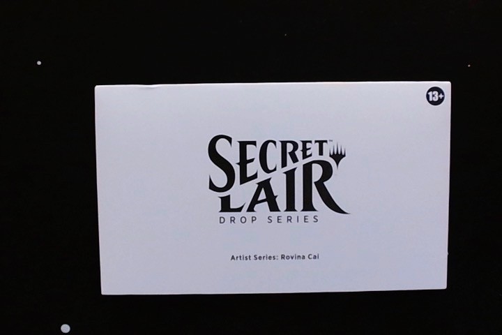 MTG Secret Lair ~ Artist Series: Rovina Cai ~ Sealed! NON FOIL NEW