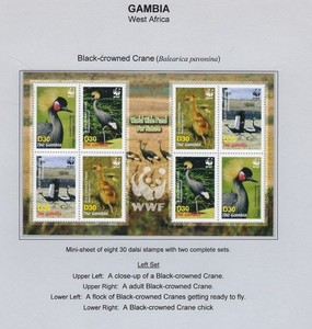Gambia / 2006 / #3014 / WWF / Black-crowned Crane / MS of 8 stamps / MNH / 102-2
