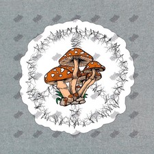 Vibrant Mushroom Vinyl Sticker Nature Decal for Laptops, Water 767129