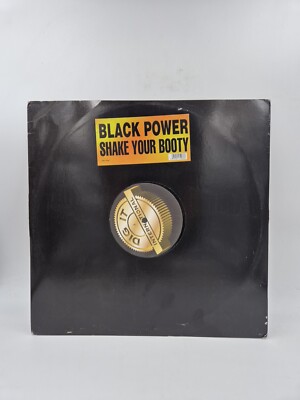 Black Power Electronic Music LP - Shake Your Booty SMX 10428 House Disco 1998
