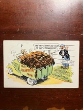 Tasty Strawberry Farm Cream Sugar Western Souvenirs Comic Art Postcard