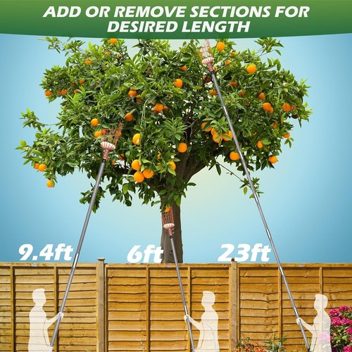 23FT Fruit Picker, Adjustable Fruits Picker Tool with Fiberglass Pole, Big Ba... - 第 7/10 張圖片
