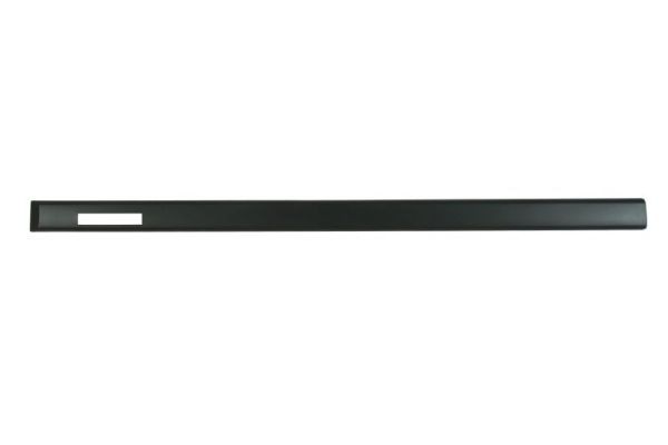 Right Front BLIC 5703-04-0060572MP Trim/Protection Strip, door for BMW