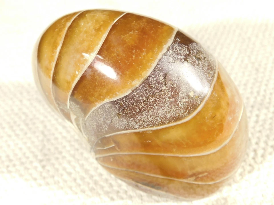 Big Very Rare! 100% Natural Polished Cretaceous Era NAUTILUS Fossil 407gr - Image 4 of 4