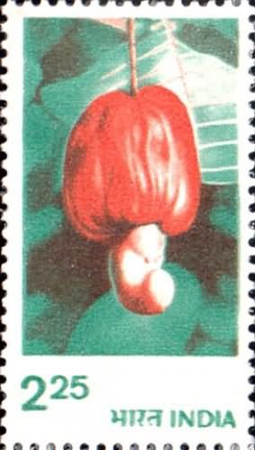 India 1980 Rural Prosperity Definitive stamp Cashew Fruit Cuisine Gastronomy 1v - Picture 1 of 2