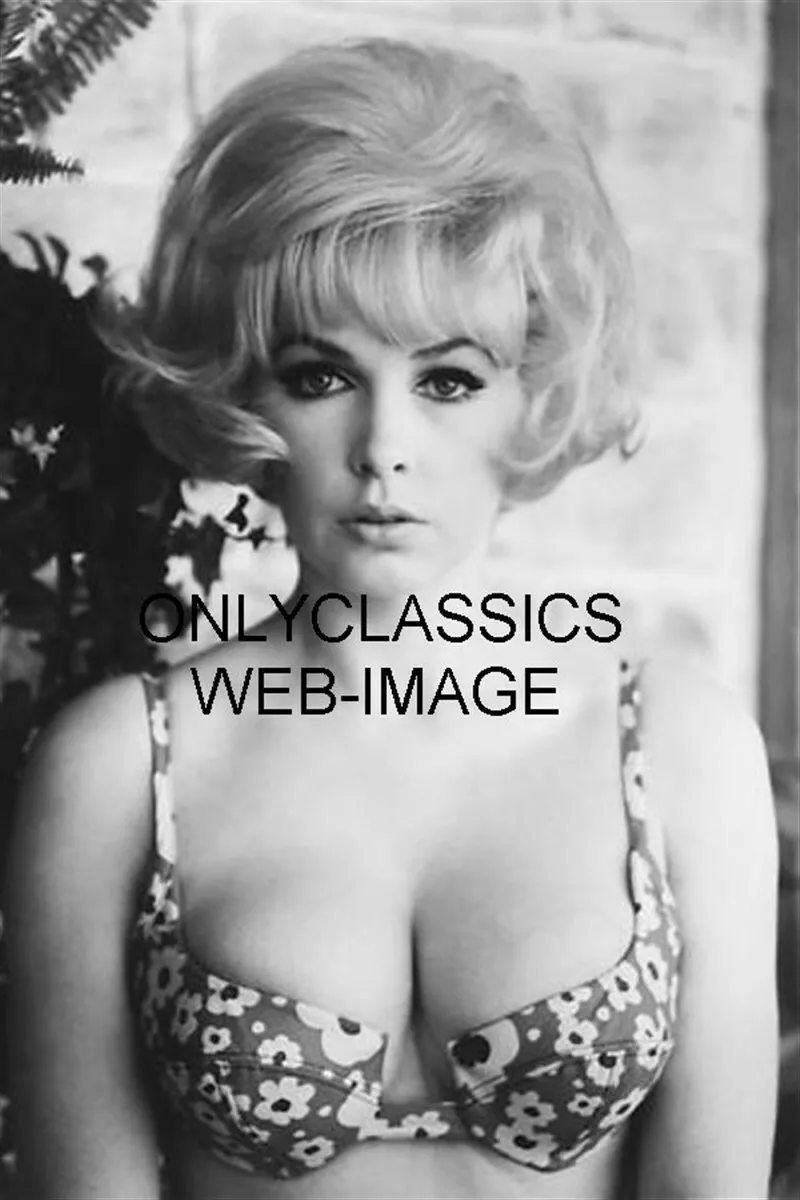 SEXY BLONDE BOMBSHELL PROVOCATIVE STELLA STEVENS PHOTO PINUP CHEESECAKE  BEAUTY | eBay
