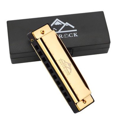 EastRock Blues Harmonica Mouth Organ 10 Hole C Key with Case, Diatonic Harmon...