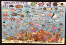 FRANKO'S FLORIDA REEF CREATURES GUIDE BY FRANKO MAPS 6"x9" Waterproof Card