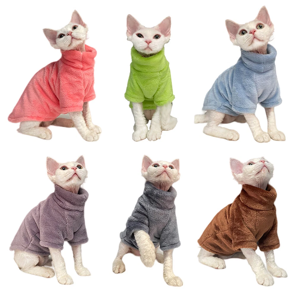Hairless cats hot sale in clothes