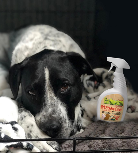 Smacchiatore ed Elimina Odori per Animali Domestici - Elimina Urine Enzima Naturale - Foto 3 di 4