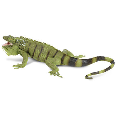 Dinosaurios Jurassic World Grandes Figura De Bebé Iguana De Safari Ltd - Juguete Educativo Sin BPA - Para Niños De 3 Años Triceratops Jurassic World