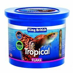 king british tropical fish food