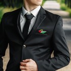 Bild 9 von 15