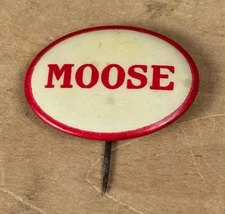 Antique Vtg 1.25” MOOSE Organization Original Celluloid Pinback Button Pin Badge